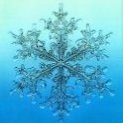 snow.jpg