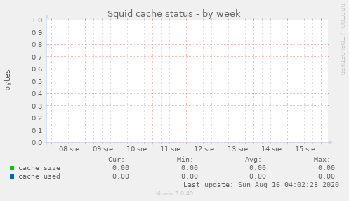 Squid cache status