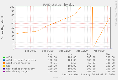 RAID status