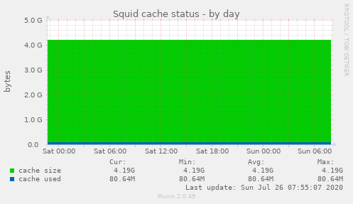 Squid cache status