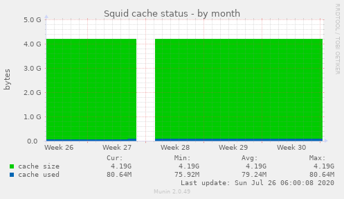 Squid cache status