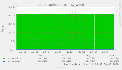 Squid cache status