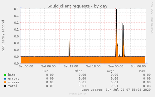 Squid client requests