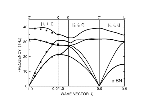 Phonon Dispersion Curves of cubic BN