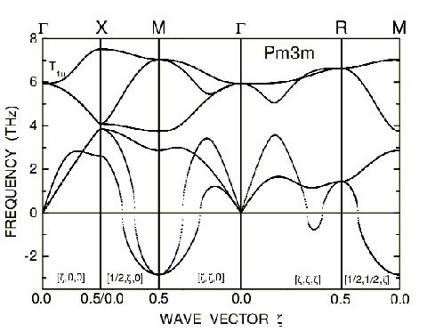 Phonon Dispersion Curves of NiTi in Pm-3m