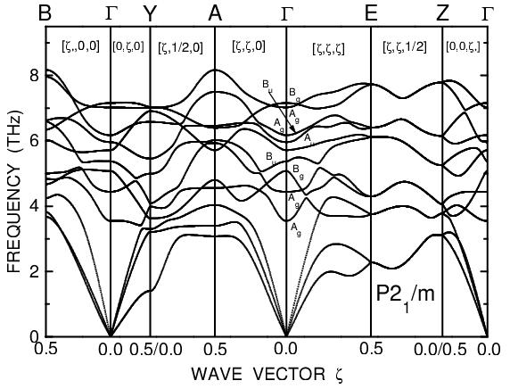 Phonon Dispersion Curves of NiTi in P2_1/m