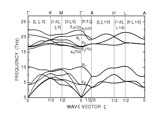 Phonon Dispersion Curves of hexagonal 2H-GaN