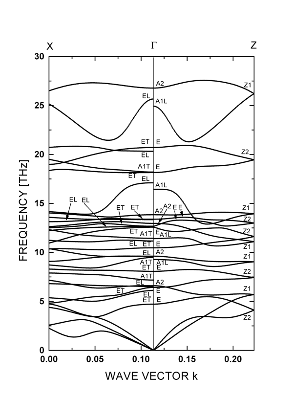 Phonon Dispersion Curves of ferroelectric LiNbO_3