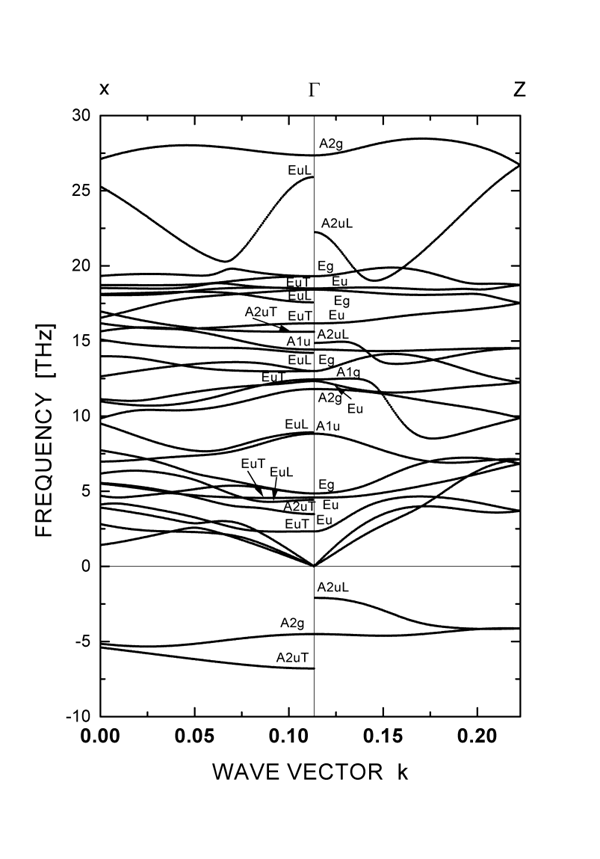 Phonon Dispersion Curves of paraelectric LiNbO_3