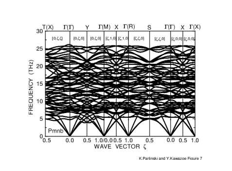 Phonon Dispersion Curves of MgSiO_3 in Pmnb